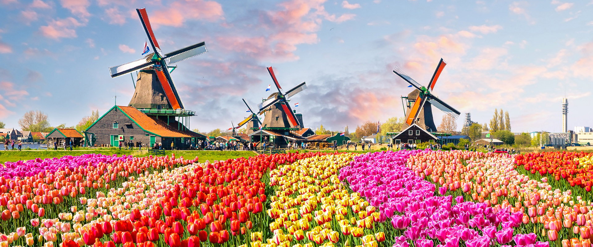 KEUKENHOF TULIPANES HOLANDA